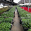 Living Wall Concepts