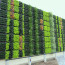 Living Wall Concepts