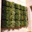 Living Wall Concepts