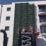 Living Wall Concepts