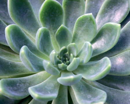 Sovereign Blue