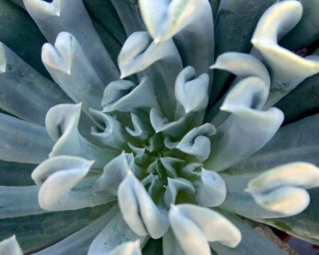 Topsy Turvy