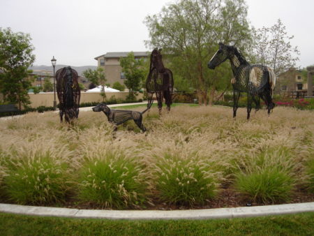 Oriental Fountain Grass - Image 2