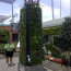 Living Wall Concepts