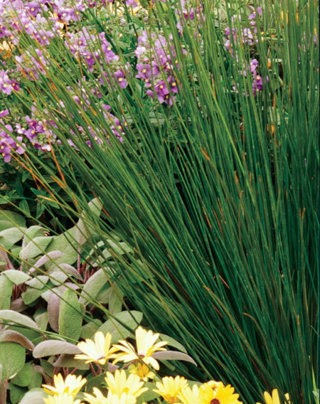 Quartz Creek - Image 3