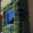 Living Wall Concepts