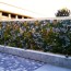 Living Wall Concepts