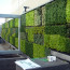 Living Wall Concepts