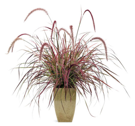 Fireworks - Image 2