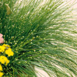 Fiber Optic Grass